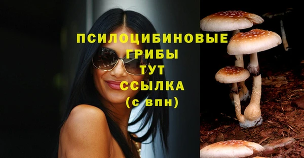 гидропоника Кукмор