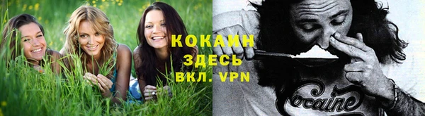 гидропоника Кукмор