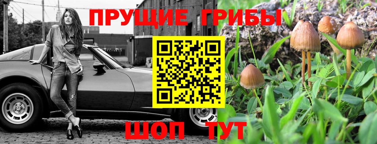 Галлюциногенные грибы Magic Shrooms  Псилоцибиновые грибы мицелий  Вход с VPN  Черняховск 