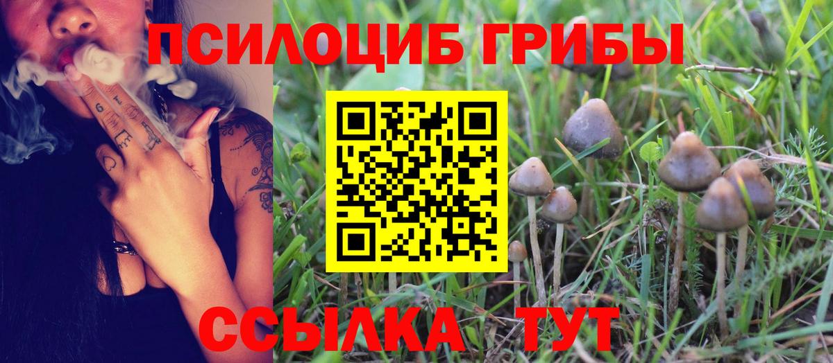 Галлюциногенные грибы MAGIC MUSHROOMS Черняховск