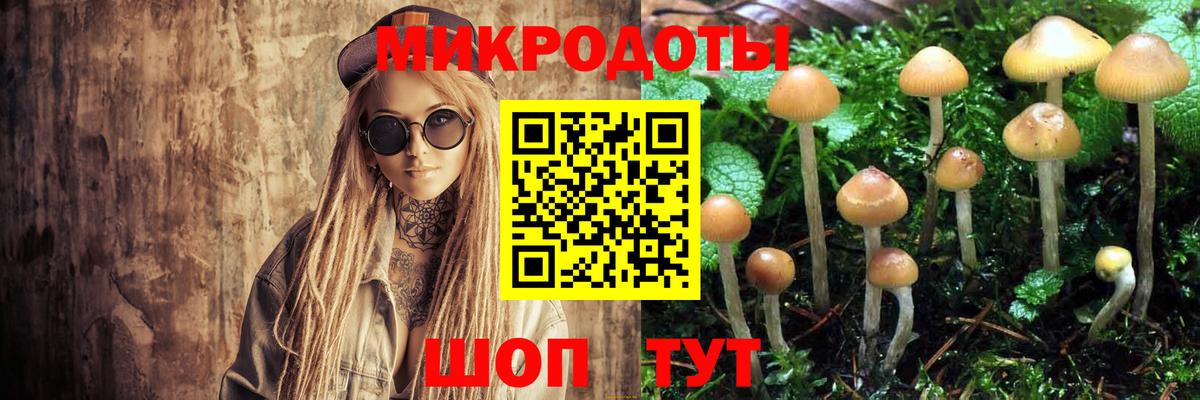 Псилоцибиновые грибы мухоморы Черняховск