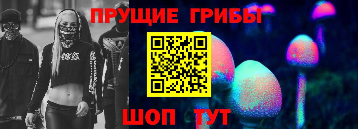 Псилоцибиновые грибы MAGIC MUSHROOMS  Черняховск 