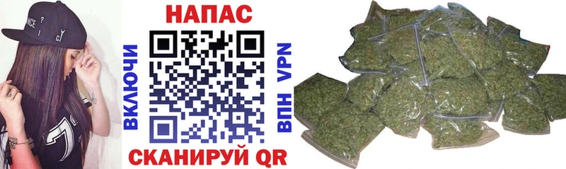 как найти закладки Черняховск hydra ссылка Марихуана Amnesia